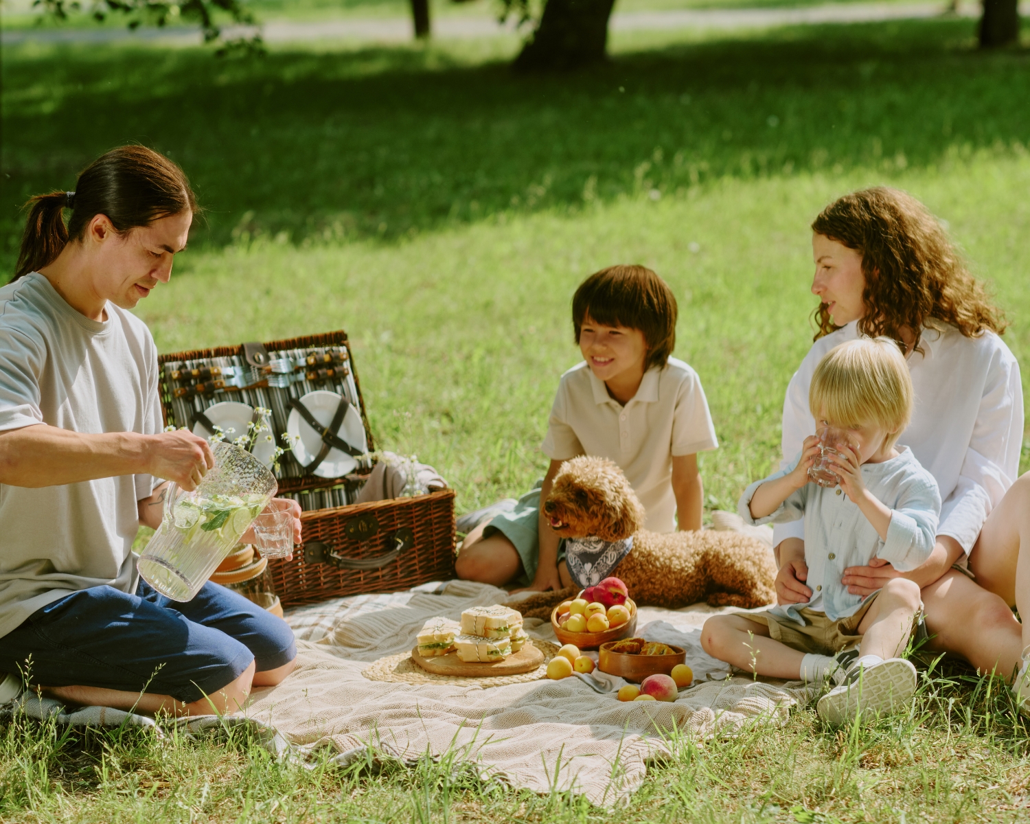 How to Host a Family Picnic at Wembley Park
